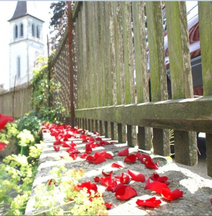 Ringmauer Hotell Murten Exteriör bild